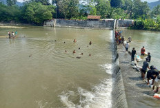 Tragis! Bocah 8 Tahun Asal Ciamis Tenggelam di Sungai Cijolang Kuningan