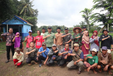 Diskatan Kuningan Gercep Kendalikan Hama Padi