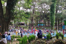 Libur Nataru, Wisata Woodland Cilimus Kuningan Destinasi Favorit Warga