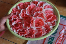 Unik dan Renyah, Kerupuk Pleredan Cidahu Jadi Kuliner Khas Kuningan