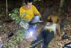 Pria Asal Cirebon Ditemukan Tergeletak di Hutan TNGC Kuningan, Polisi Lakukan Penyelidikan