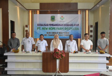 Bikin Investor Ketagihan, 20 Kandang Ayam Modern Siap Dibangun di Kuningan