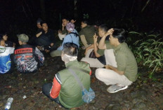 Truk Kayu Ilegal Disergap di TNGC Kuningan, Sopir Kabur ke Hutan Tinggalkan Puluhan Kayu Bernilai Tinggi