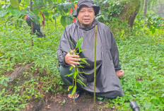 Kolaborasi BTNGC dan Desa Penyangga, Jadi Pilar Utama Pelestarian Gunung Ciremai