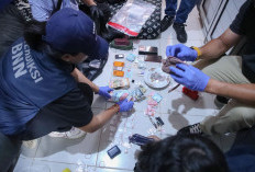 Pasca Gerebek Narkoba, Kepala BNN Suyudi Ario Seto - Shandy Aulia Diterpa Isu