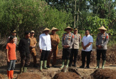 Petani Kuningan Kembangkan Bawang Putih, Kapolda Jabar Turun Tangan