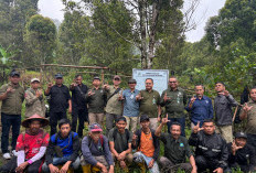 Kisruh Penyadapan Getah Pinus, Penasehat Kemenhut Turun Langsung ke Ciremai