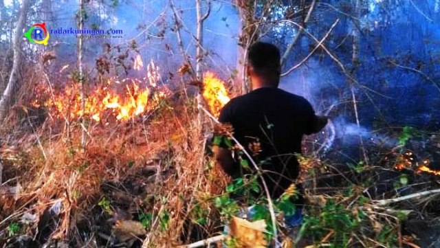 Lagi Akibat Bakar Sampah Sembarangan, 2 Hektare Lahan Warga Kebakaran