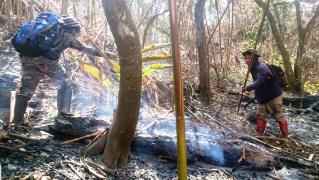 Kebakaran di Hutan Ciremai Padam, Hari Ini Mop Up