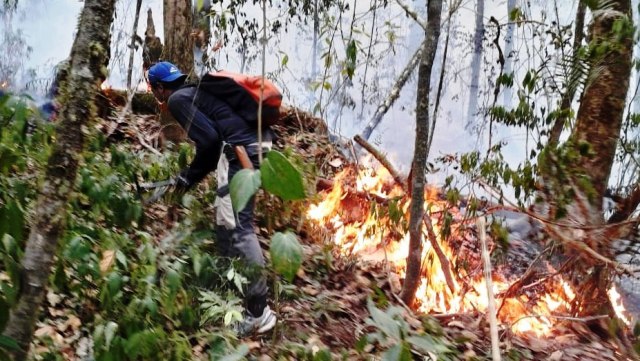 Kebakaran Ciremai Meluas, Capai 150 Hektare