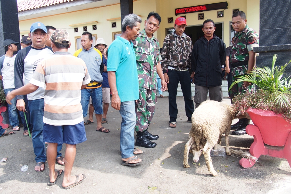 Babinsa Bandorasa Kulon Ringkus Pencuri Kambing