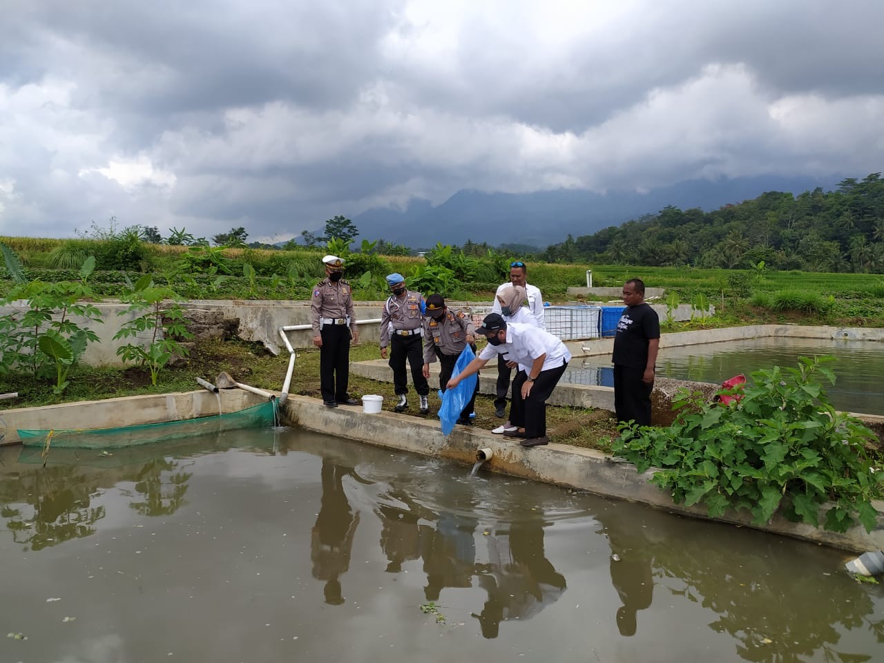 Polsek Tebar 6.000 Bibit Ikan Nila