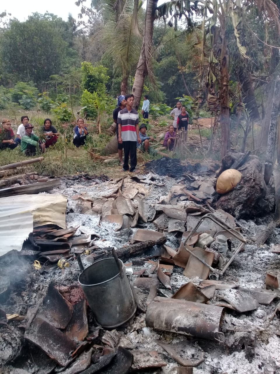 Kandang Terbakar, Satu Sapi Terpanggang