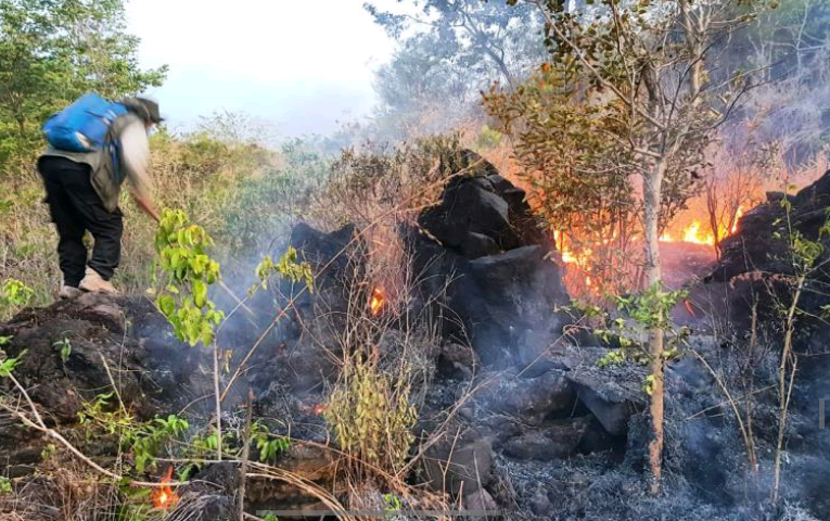 15 Hektare Kawasan Hutan Ciremai Terbakar