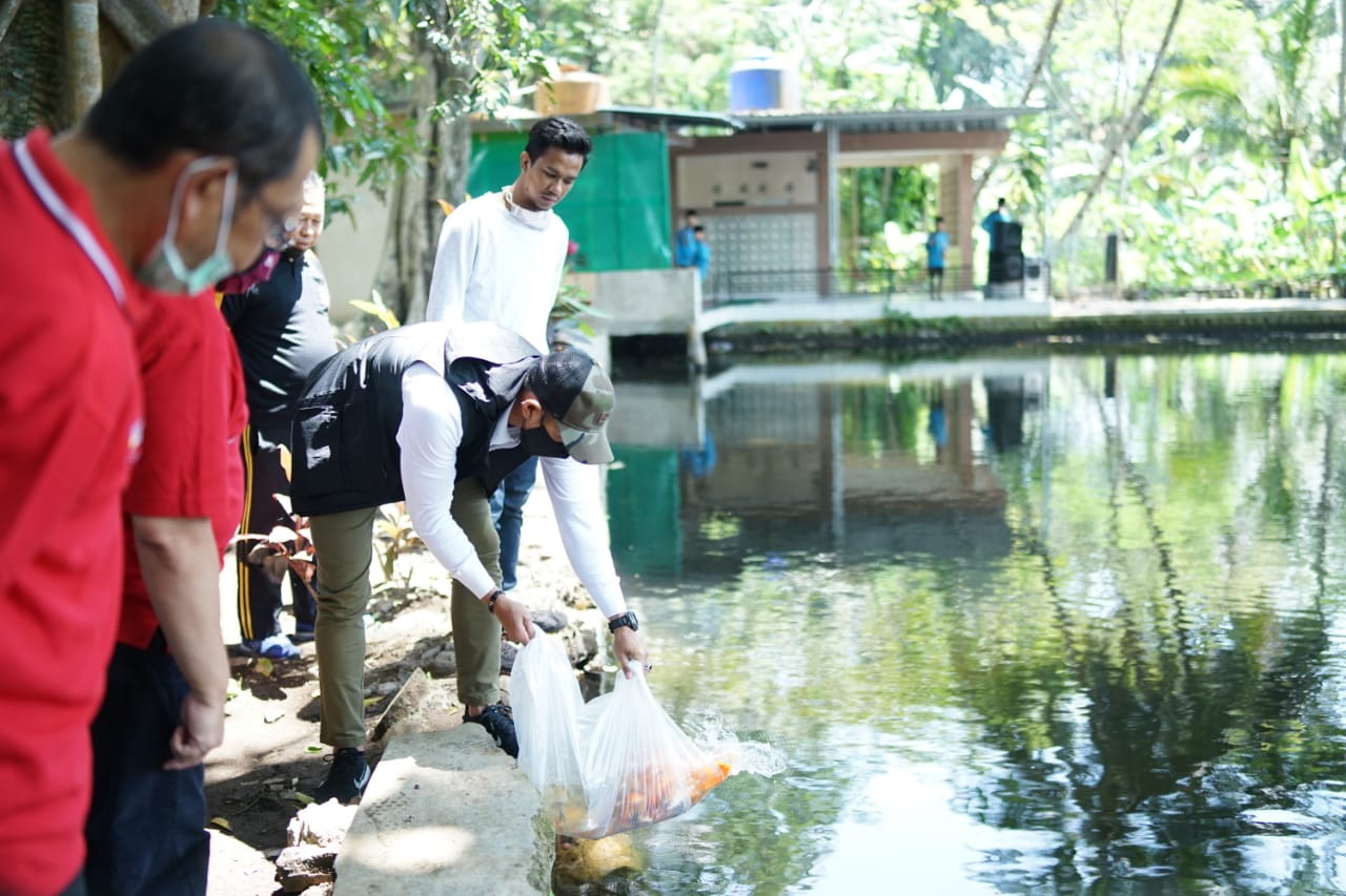 Daya Tarik Ikan Koi di Balong Kagungan