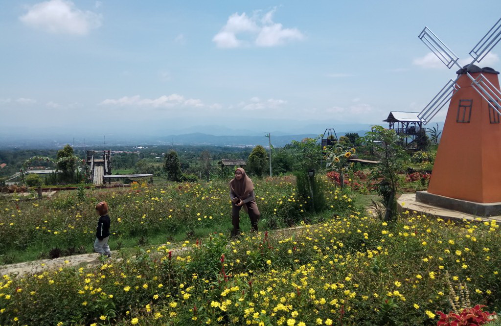 Jadi Jugjugan Wisatawan, Wisata Taman Bunga Tak Jauh dari Pusat Kota