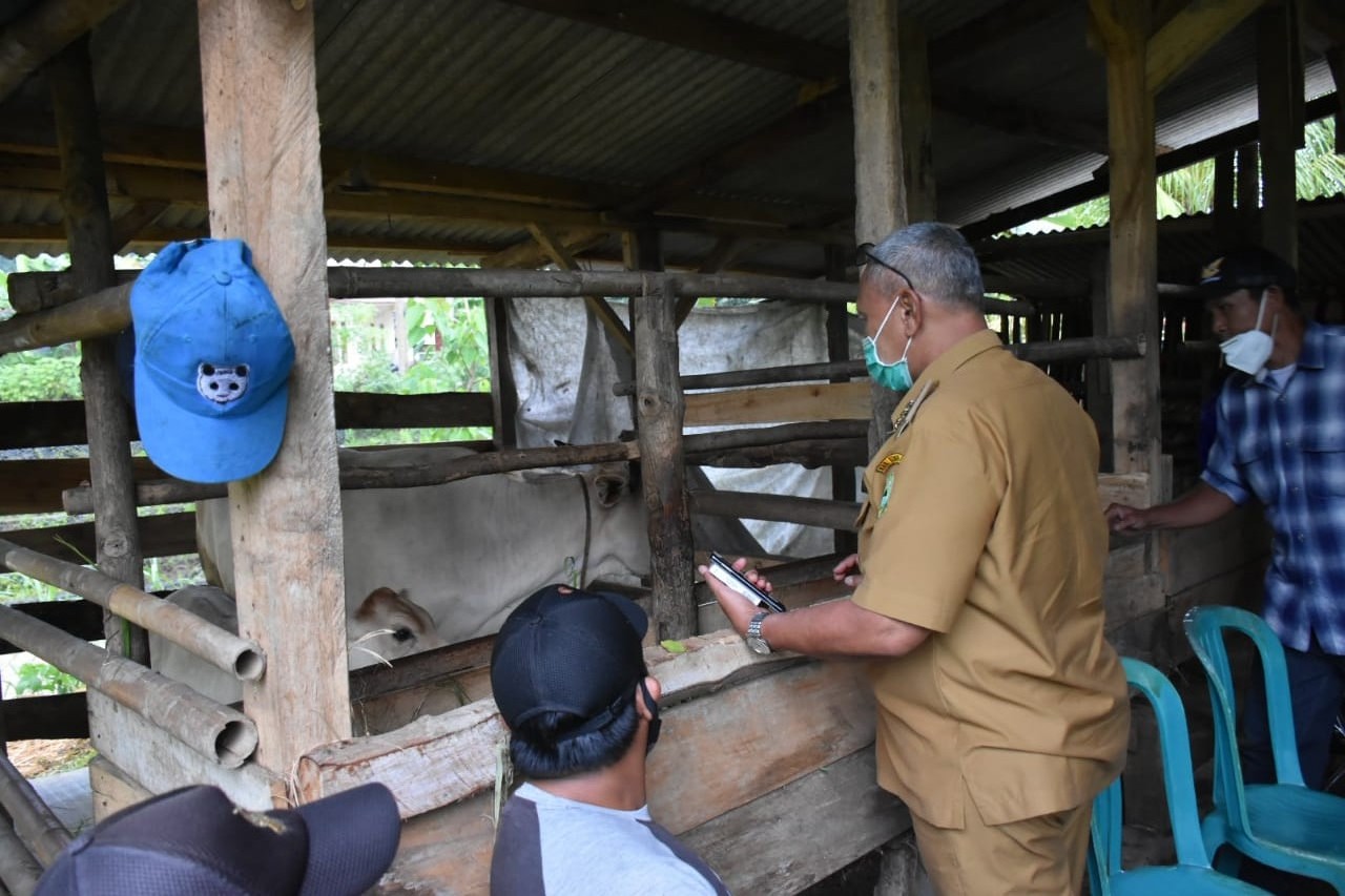 Bupati Acep Dorong Peternak Sapi di Desa Cipondok